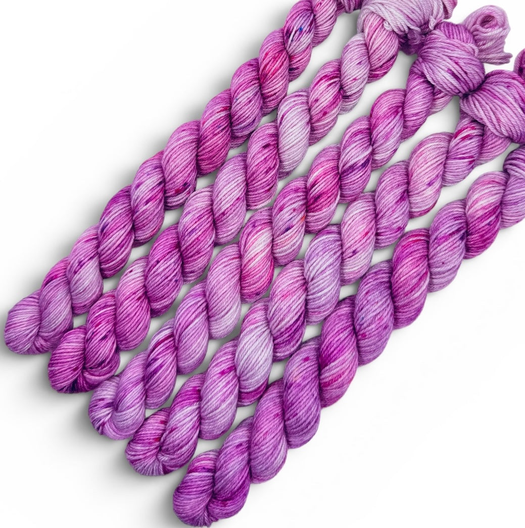 Ornamental Onion (Trusty DK Mini)
