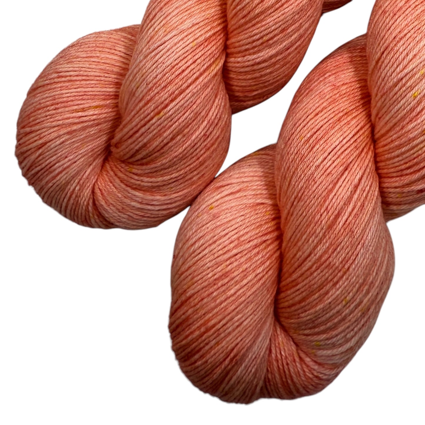 Tulips In Bloom (Trusty Sock)