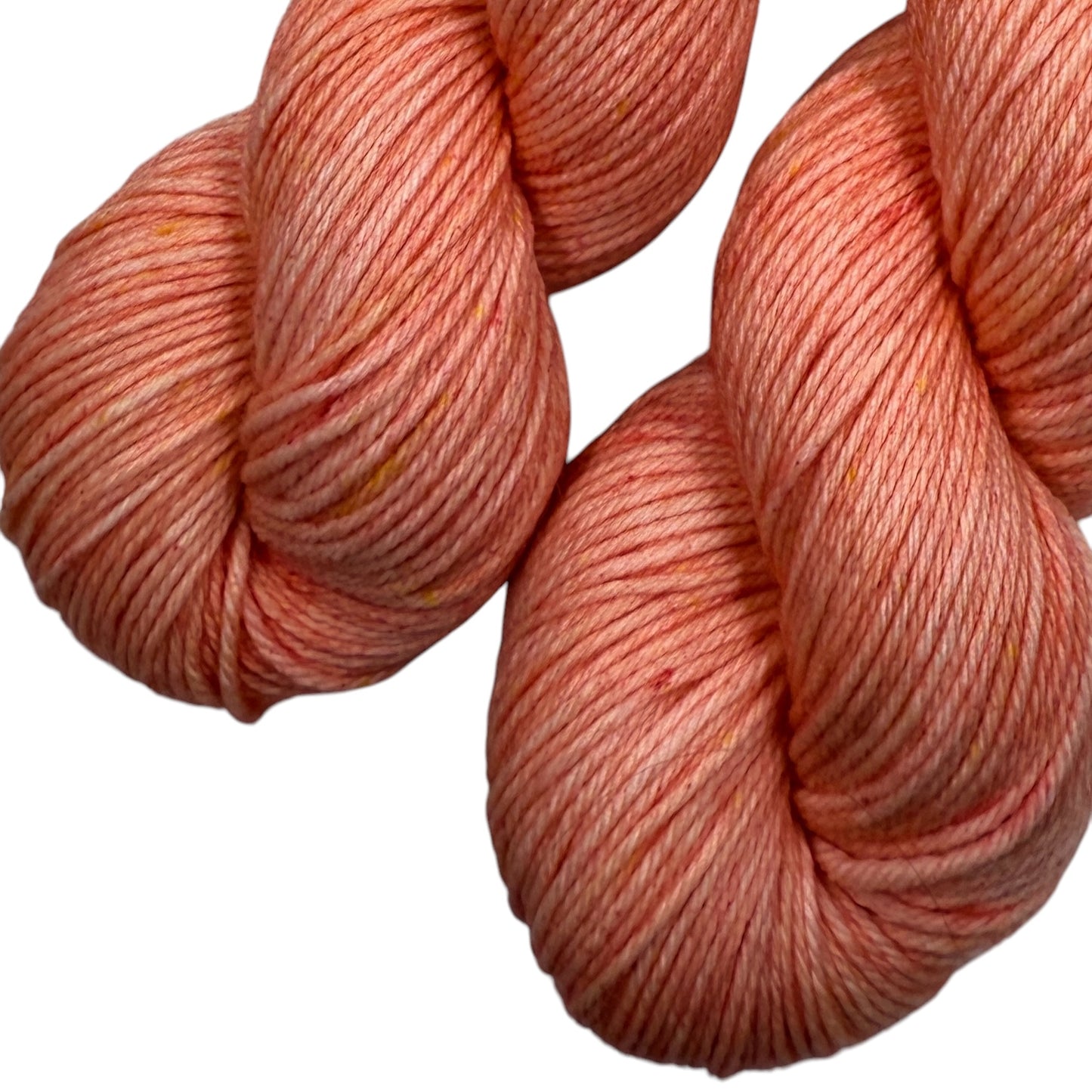 Tulips In Bloom (Trusty DK)