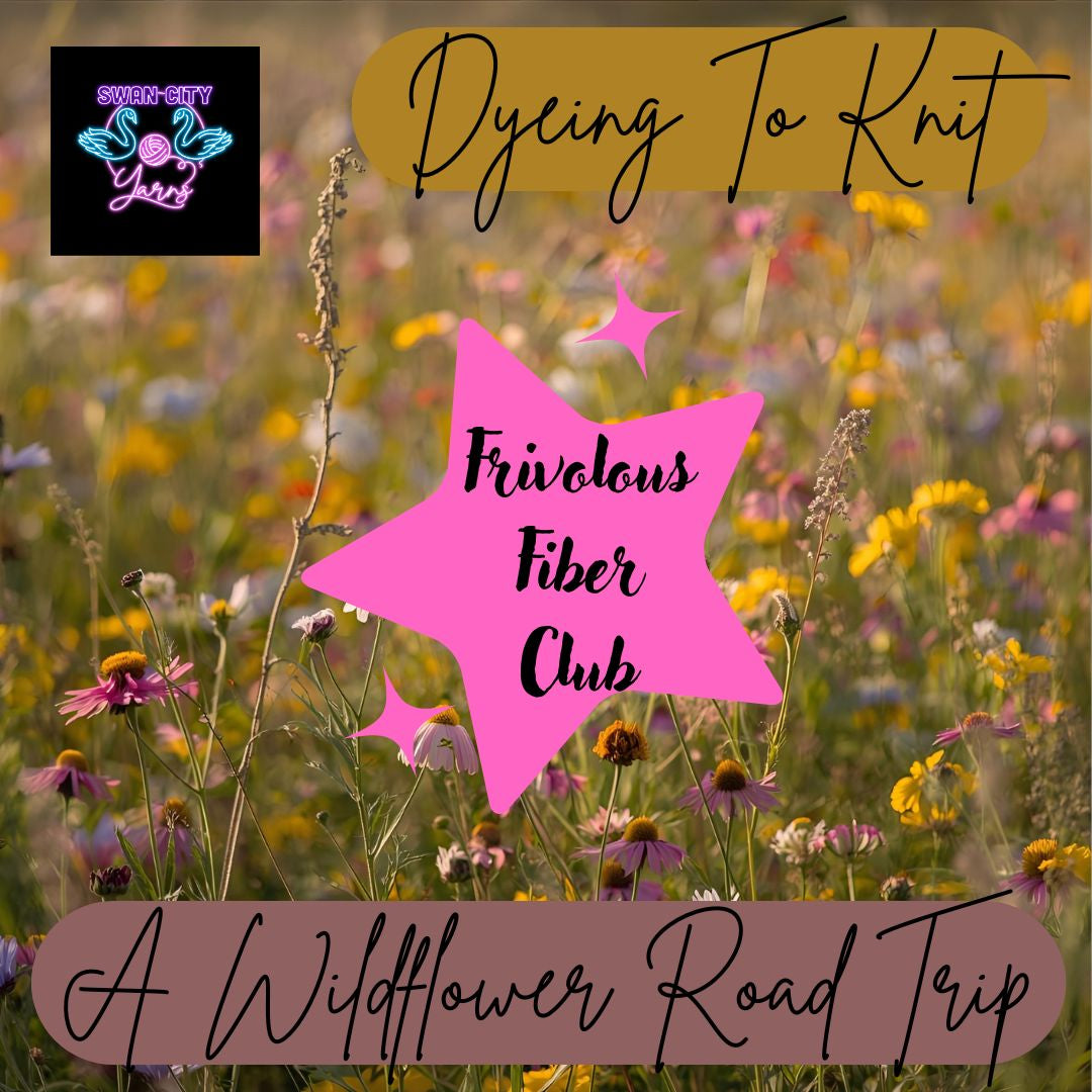 Dyeing To Knit: Frivolous Fiber Club - A Wildflower Road Trip