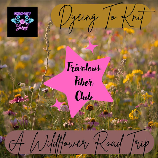 Dyeing To Knit: Frivolous Fiber Club - A Wildflower Road Trip