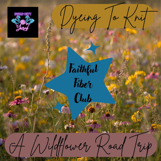 Dyeing To Knit: Faithful Fiber Club - A Wildflower Road Trip
