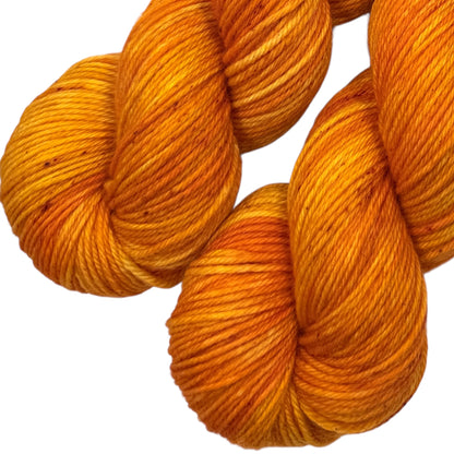 Pumpkin Patch (Trusty DK)