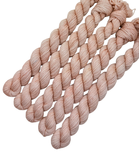 Jun-ho (Trusty DK Mini)