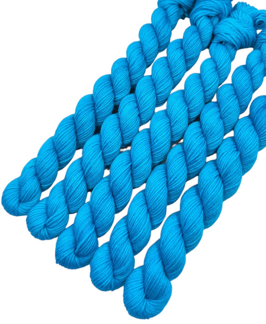 Disco (Trusty Sock Mini)