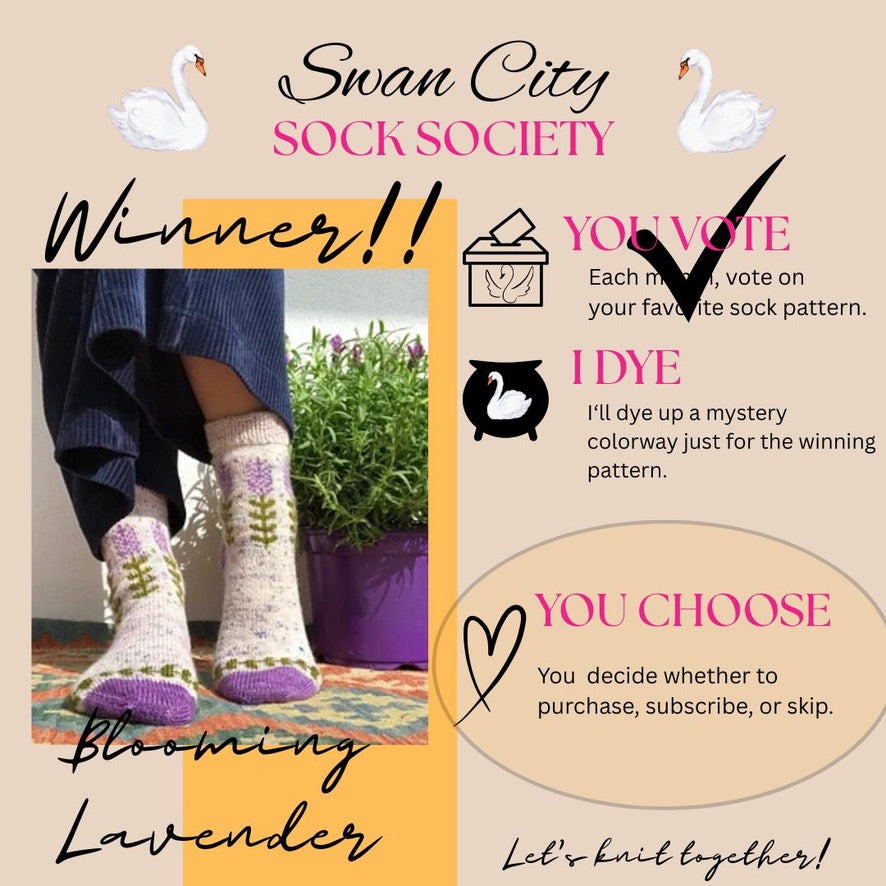 Swan City Yarns Sock Society