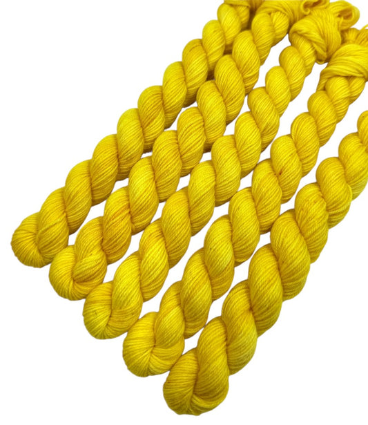 Back To School (Trusty Sock Mini)