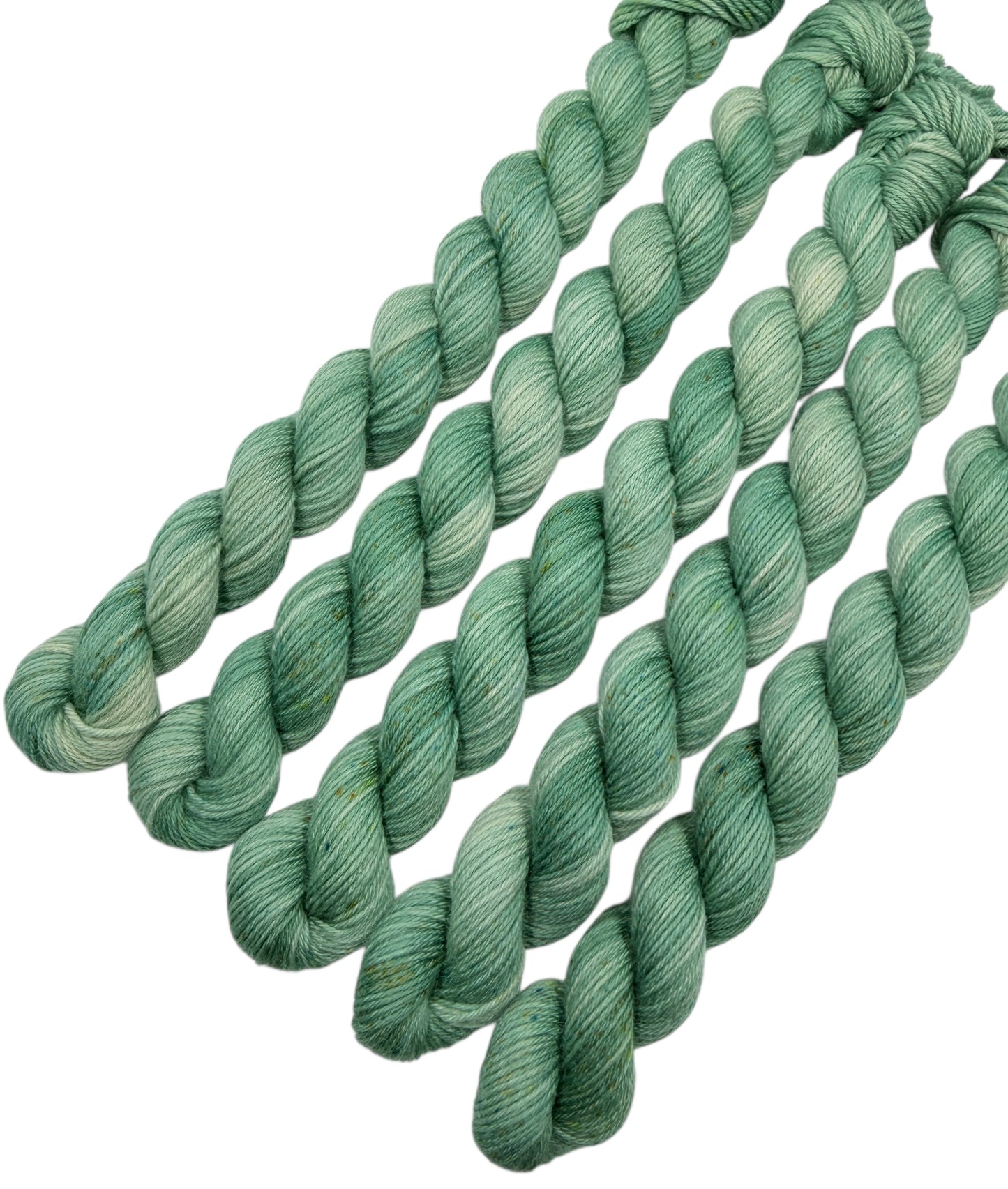 Not The Jacket! (Trusty Sock Mini)